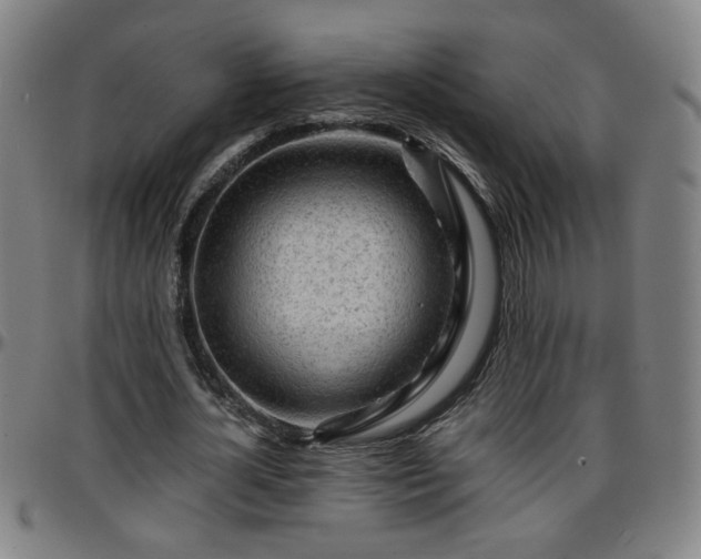X0000096380724200801311258