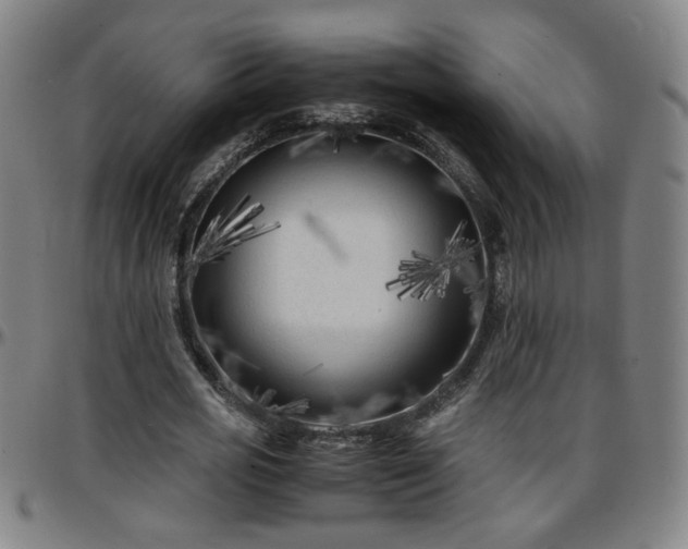 X0000096380725200801311258