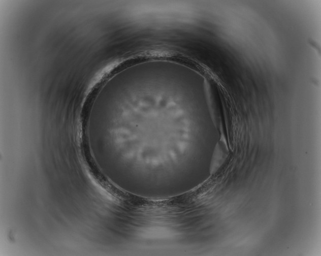 X0000096380726200801311258