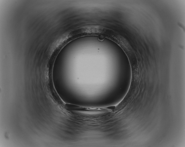 X0000096380727200801311258