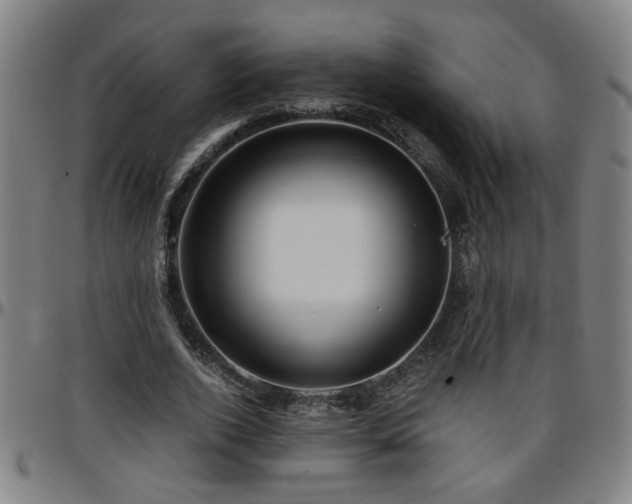 X0000096380728200801311258