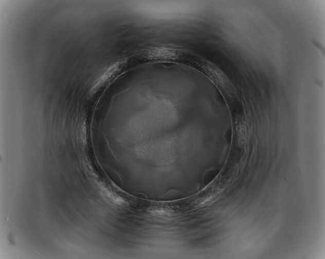 X0000096380729200801311258