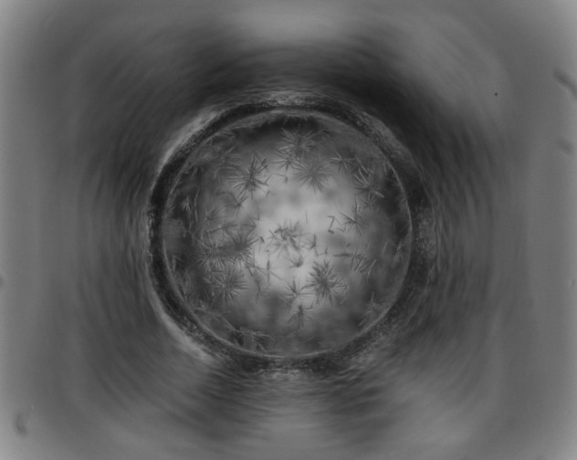 X0000096380730200801311258