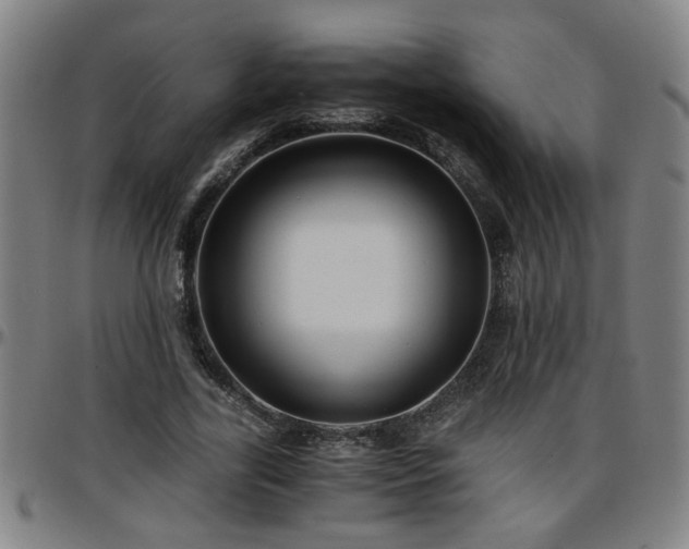 X0000096380731200801311258