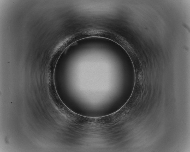 X0000096380732200801311258