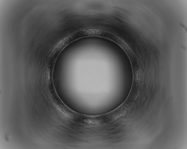 X0000096380733200801311258