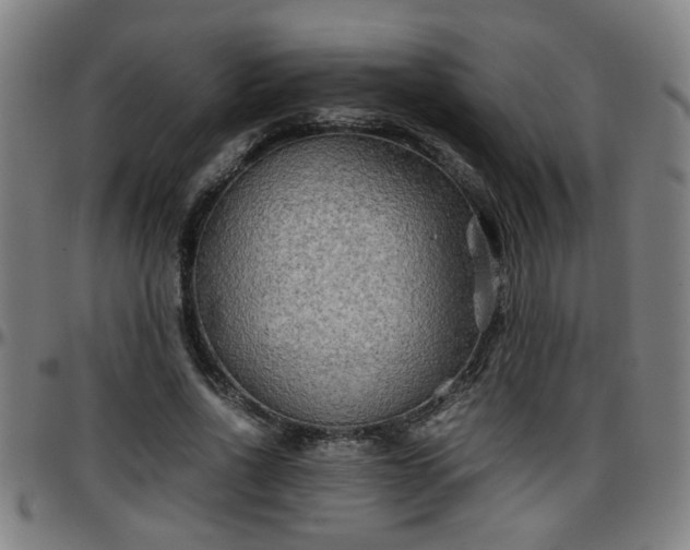 X0000096380734200801311258