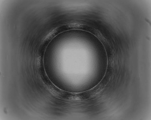 X0000096380735200801311258
