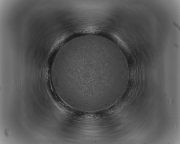 X0000096380736200801311258