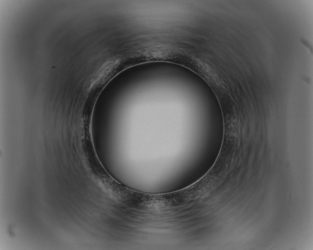 X0000096380738200801311258