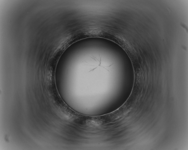X0000096380739200801311258