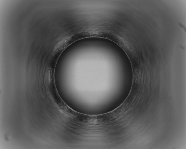 X0000096380740200801311258