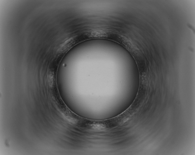 X0000096380741200801311259