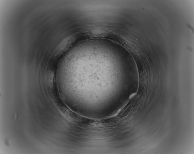 X0000096380742200801311259