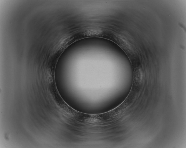 X0000096380743200801311259