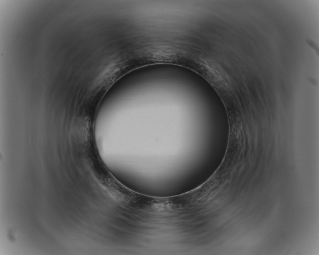 X0000096380744200801311259