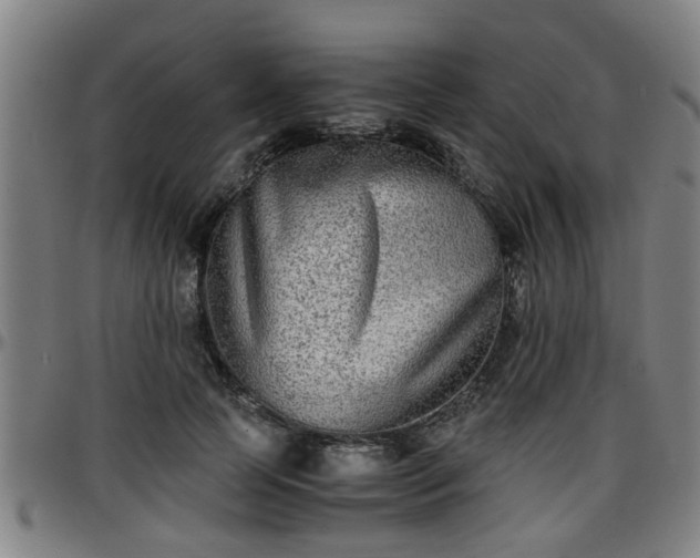X0000096380745200801311259
