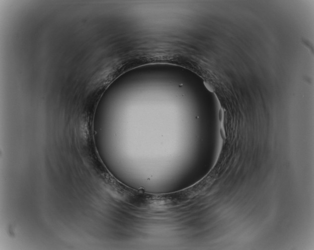 X0000096380746200801311259