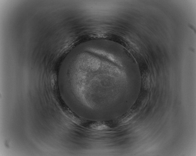 X0000096380747200801311259