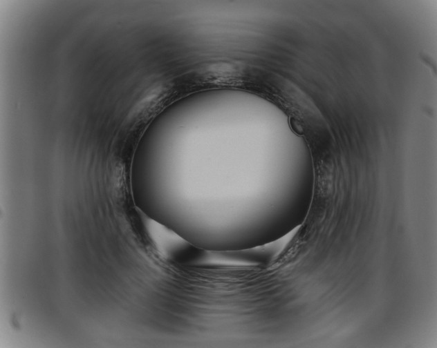 X0000096380748200801311259