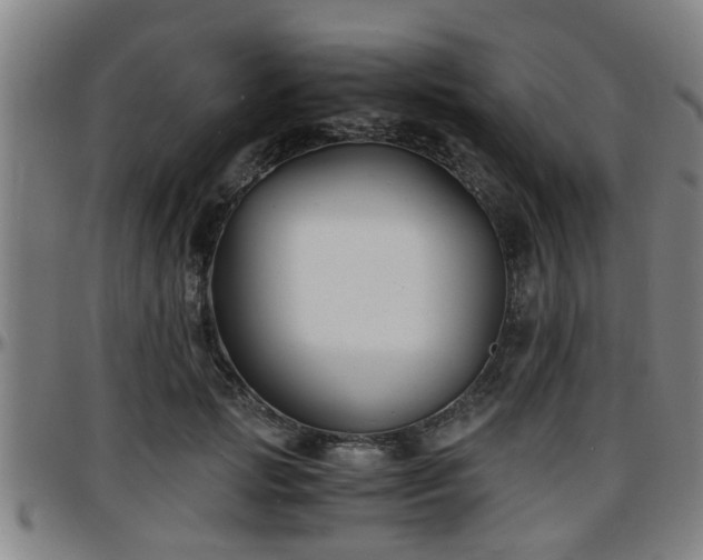 X0000096380749200801311259