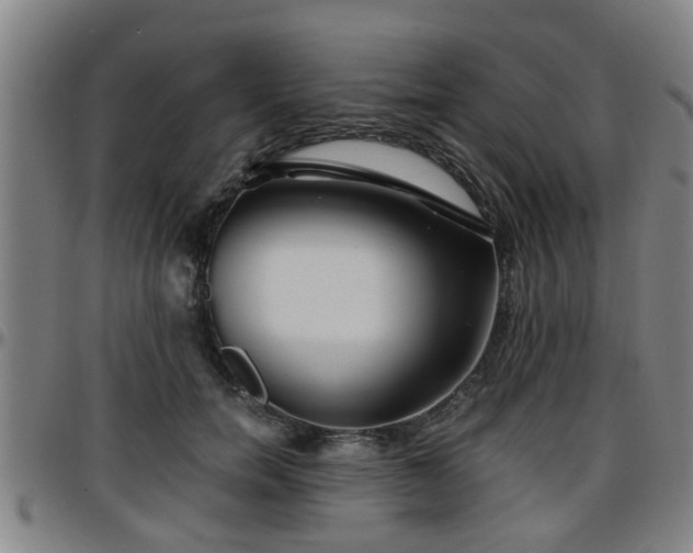 X0000096380750200801311259