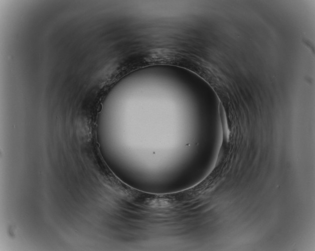 X0000096380751200801311259