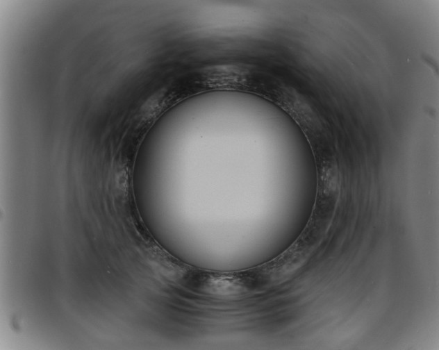 X0000096380753200801311259