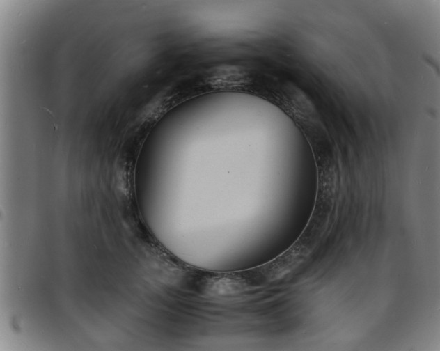X0000096380755200801311259