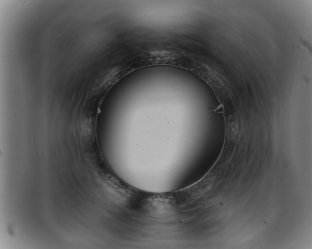 X0000096380756200801311259