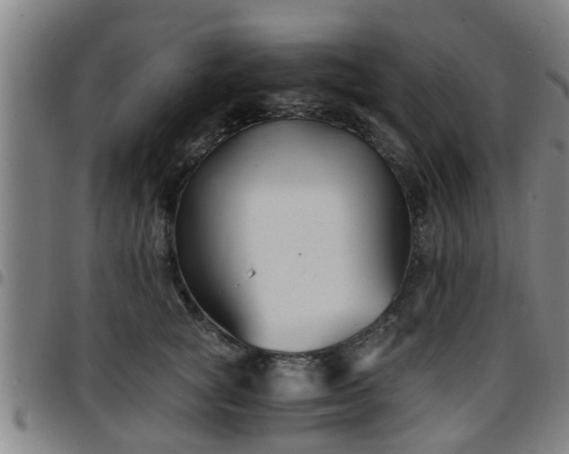 X0000096380757200801311259