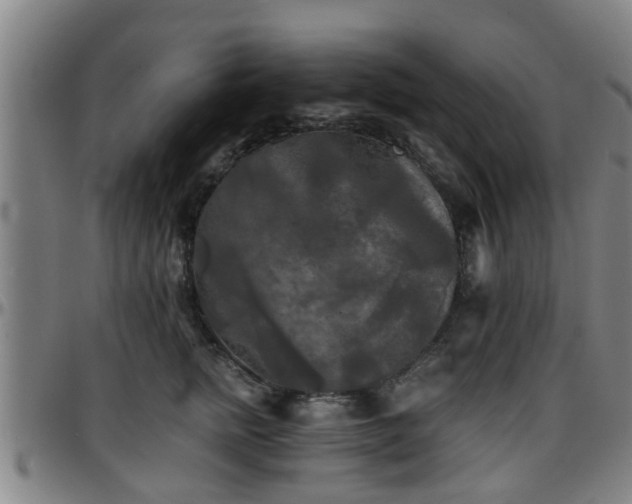 X0000096380758200801311259