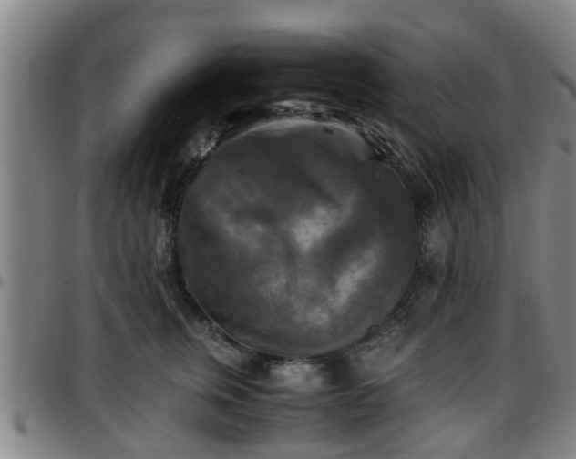 X0000096380759200801311259