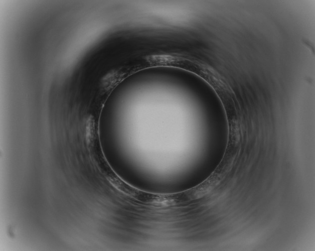 X0000096380760200801311259