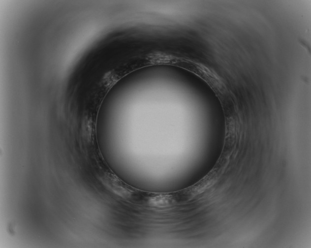 X0000096380761200801311259