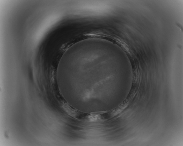 X0000096380762200801311259