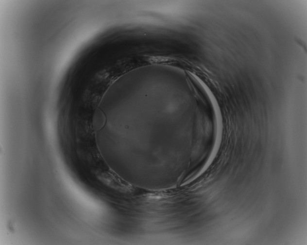 X0000096380763200801311259