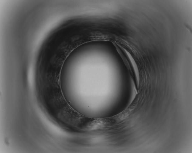 X0000096380764200801311259
