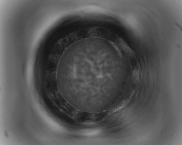 X0000096380765200801311259