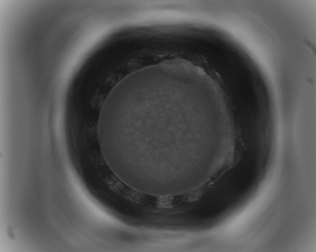 X0000096380766200801311259