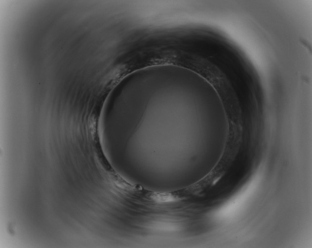 X0000096380767200801311259