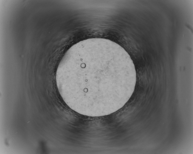 X0000096380769200801311258
