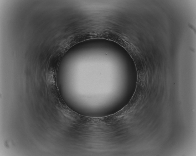 X0000096380770200801311258