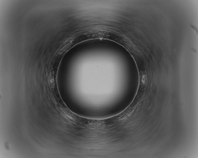 X0000096380771200801311258