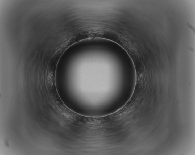 X0000096380772200801311258