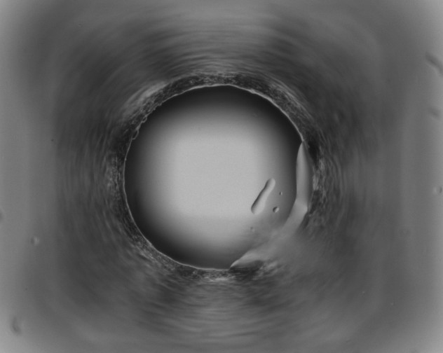 X0000096380773200801311258