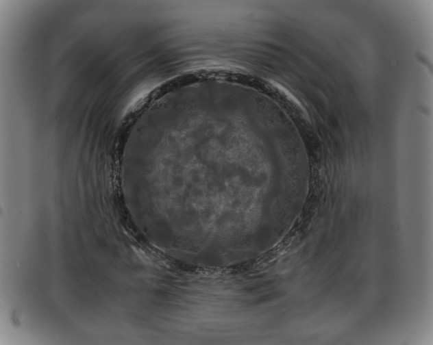 X0000096380775200801311258