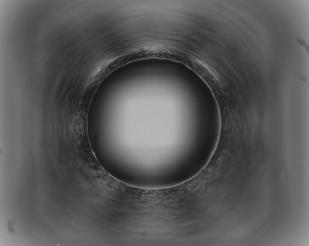 X0000096380776200801311258