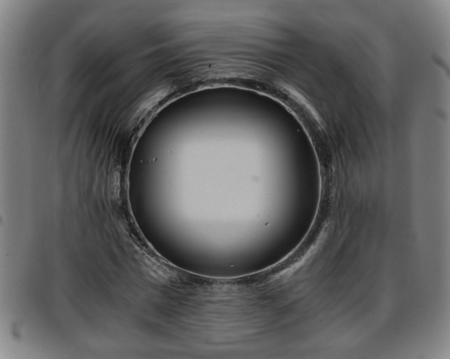 X0000096380777200801311258
