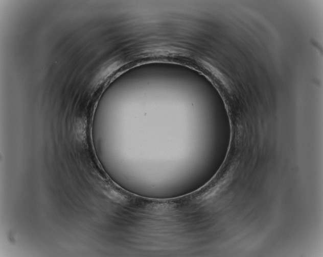 X0000096380778200801311258